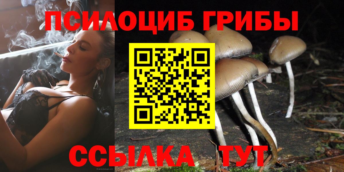 Лосино-Петровский  Галлюциногенные грибы Psilocybine cubensis  Вход с VPN  Псилоцибиновые грибы мухоморы 