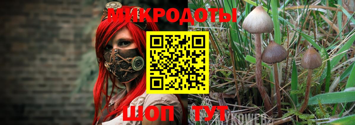 Галлюциногенные грибы Cubensis Лосино-Петровский